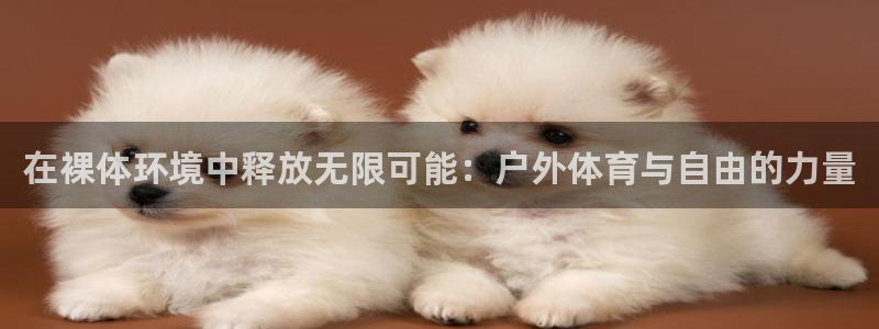 xc体育app官方网站