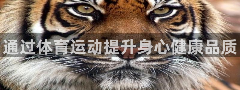 xc体育