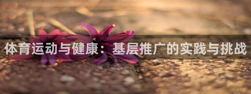 xc体育app官方网站