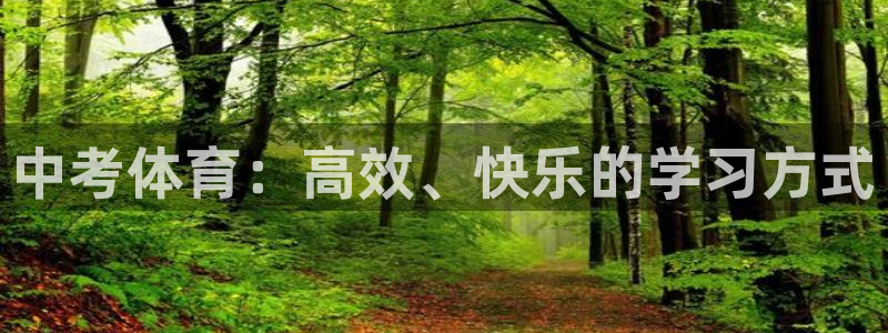xc体育